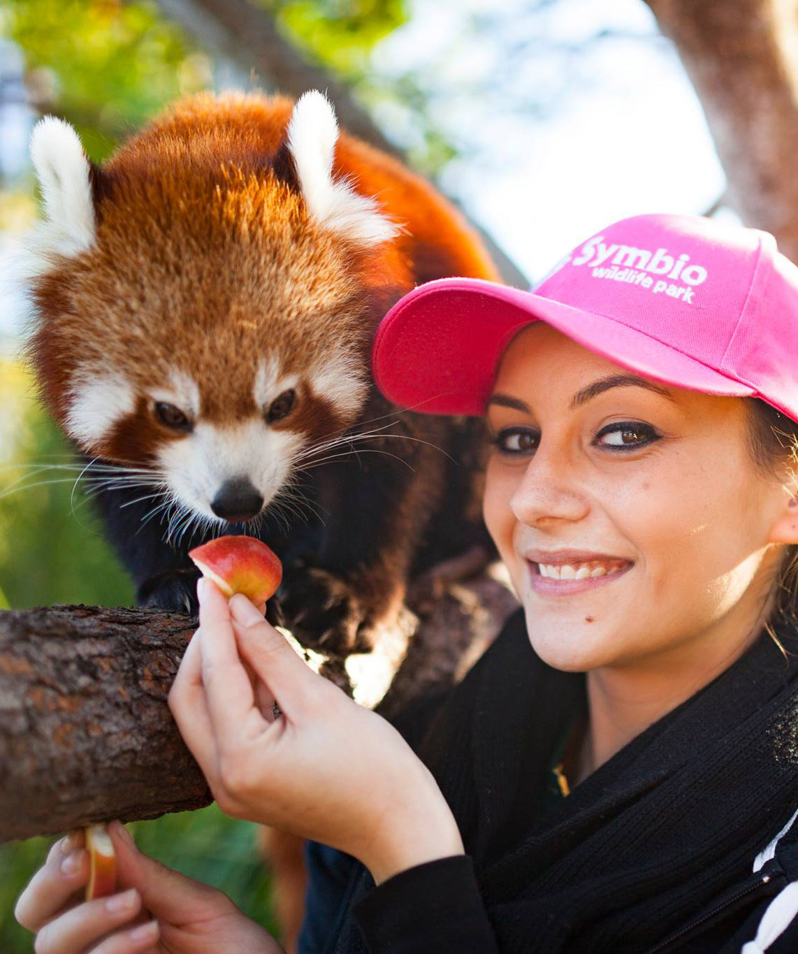 Red Panda Experience